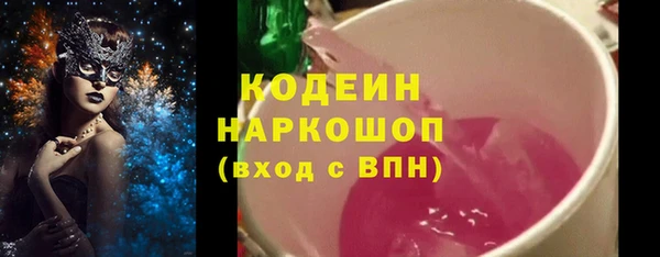 шишки Пересвет