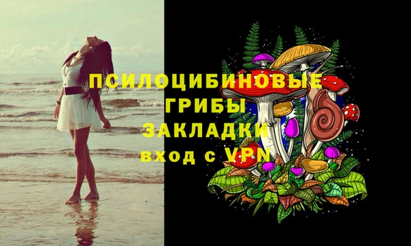 амф Переславль-Залесский