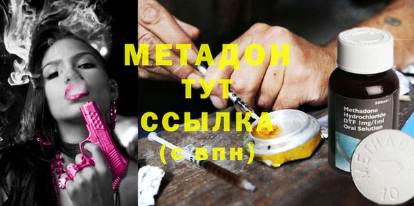 шишки Пересвет