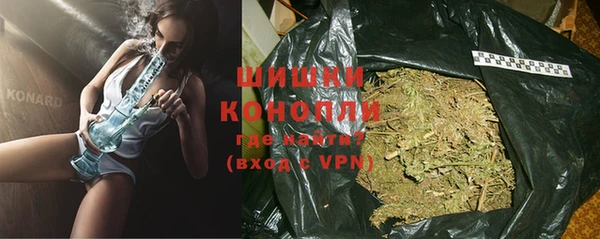 шишки Пересвет