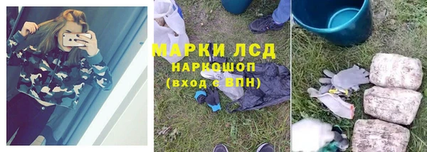 шишки Пересвет
