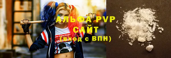 шишки Пересвет