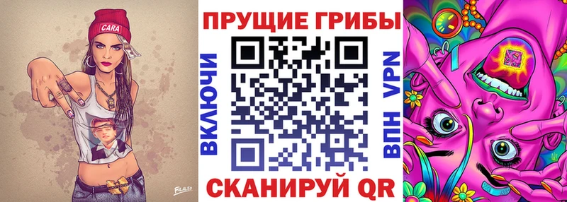 купить наркотик  Балашов  Галлюциногенные грибы ЛСД 