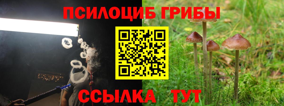Балашов  Псилоцибиновые грибы Magic Shrooms  Вход с VPN 